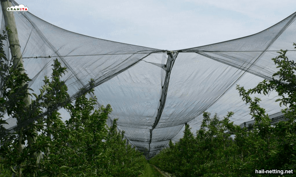 Hails barrier mesh