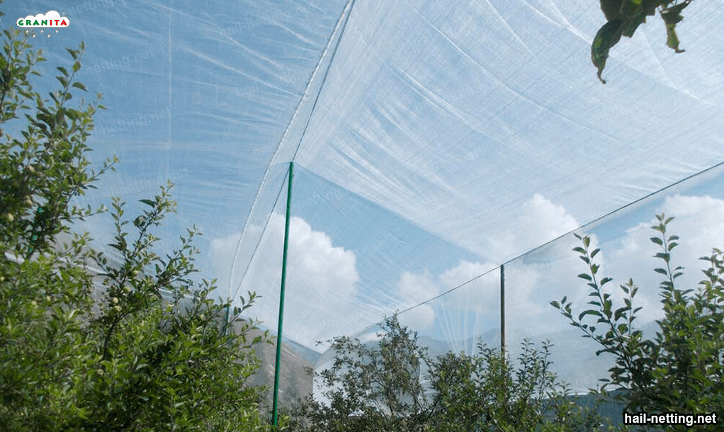 Stakes and hails netting