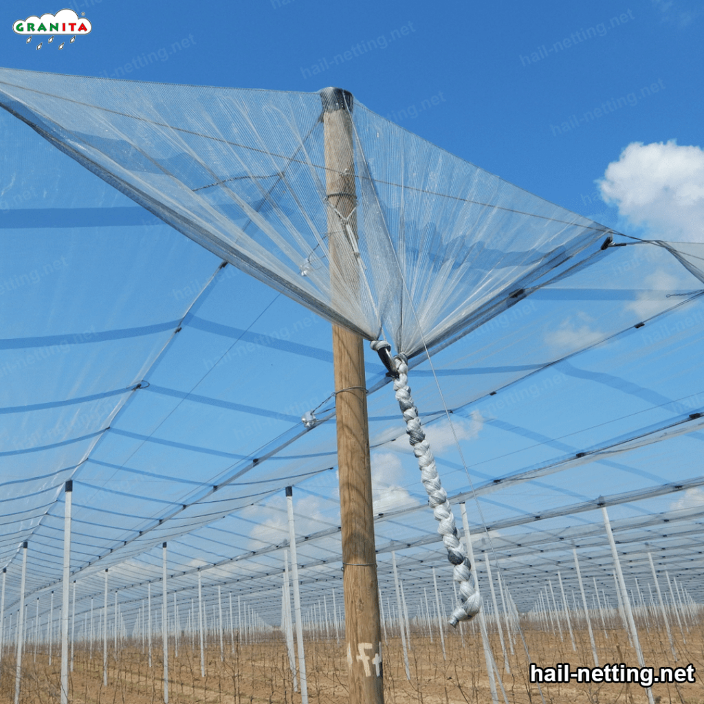 Hail barrier netting installed in a field