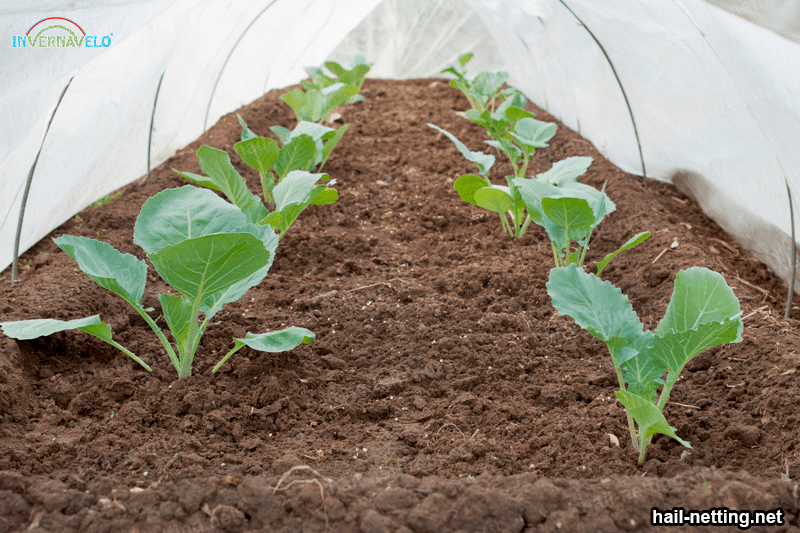 agricultural floating windrow