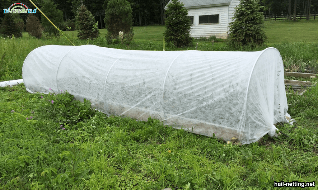 microtunnel made with thermal blankets