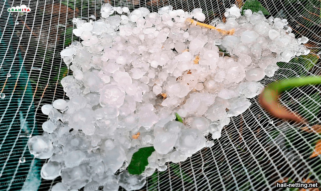 accumulated hail on mesh